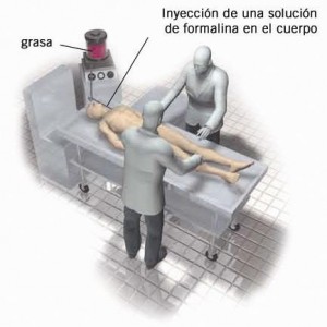 1. Embalsamamiento y disección anatómica